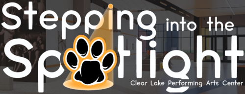 Stepping into the Spotlight Campaign Logo